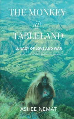 Ashee Nemat - The Monkey at Tableland, Häftad