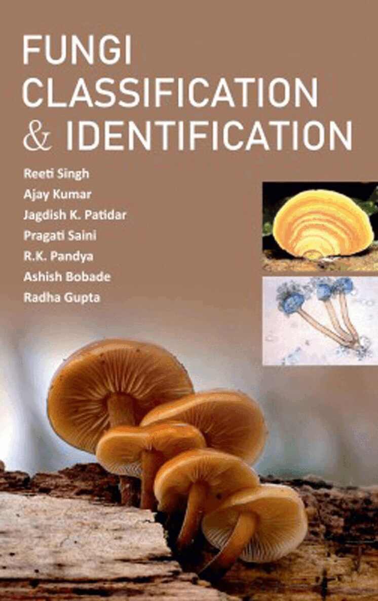 Reeti Singh, Ajay Kumar, Jagdish Kumar Patidar, Pragati Saini, R.K. Pandya, Ashish Bobade, Radha Gupta - Fungi Classification and Identification, Inbunden