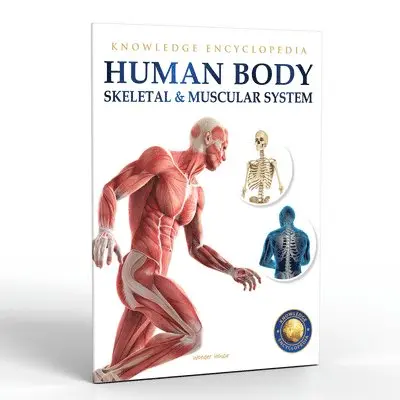 Wonder House Books - Human Body, Häftad. Tillgänglighet: Lägg i varukorg