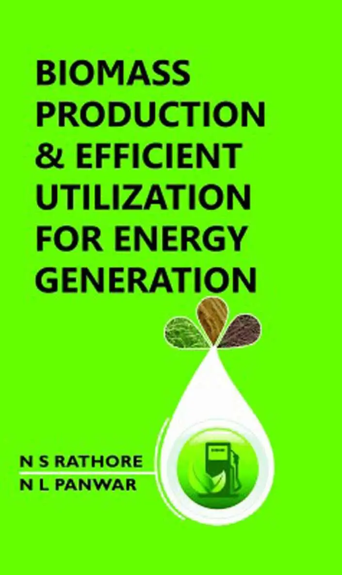 N. S. Rathore, N. L. Panwar - Biomass Production and Efficient Utilization for Energy Generation, Inbunden. Tillgänglighet: Lägg i varukorg
