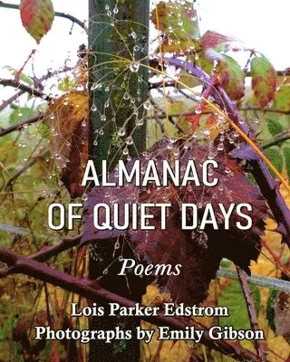 Lois Parker Edstrom - Almanac of Quiet Days, Häftad. Tillgänglighet: Lägg i varukorg
