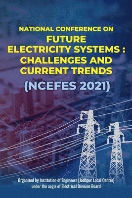 Future Electricity Systems, Häftad