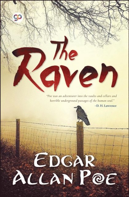 Edgar Allan Poe - Raven, E-bok