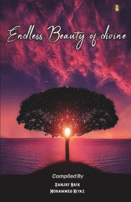 Sanjay Naik, Mohammed Niyaz - Endless Beauty of Divine, Häftad