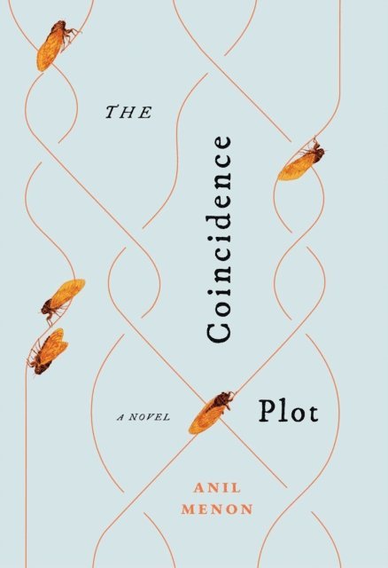Anil Menon - Coincidence Plot, E-bok