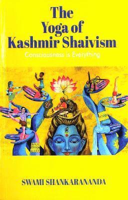 Swami Shankarananda - Consciousness is Everything, Häftad