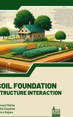 Dhruv Bajwa, Shivani Mehta, Sahil Chauhan - Soil Foundation Structure Interaction (Int), Inbunden