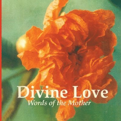 Franz Fassbender - Divine Love - Words of the Mother, Häftad