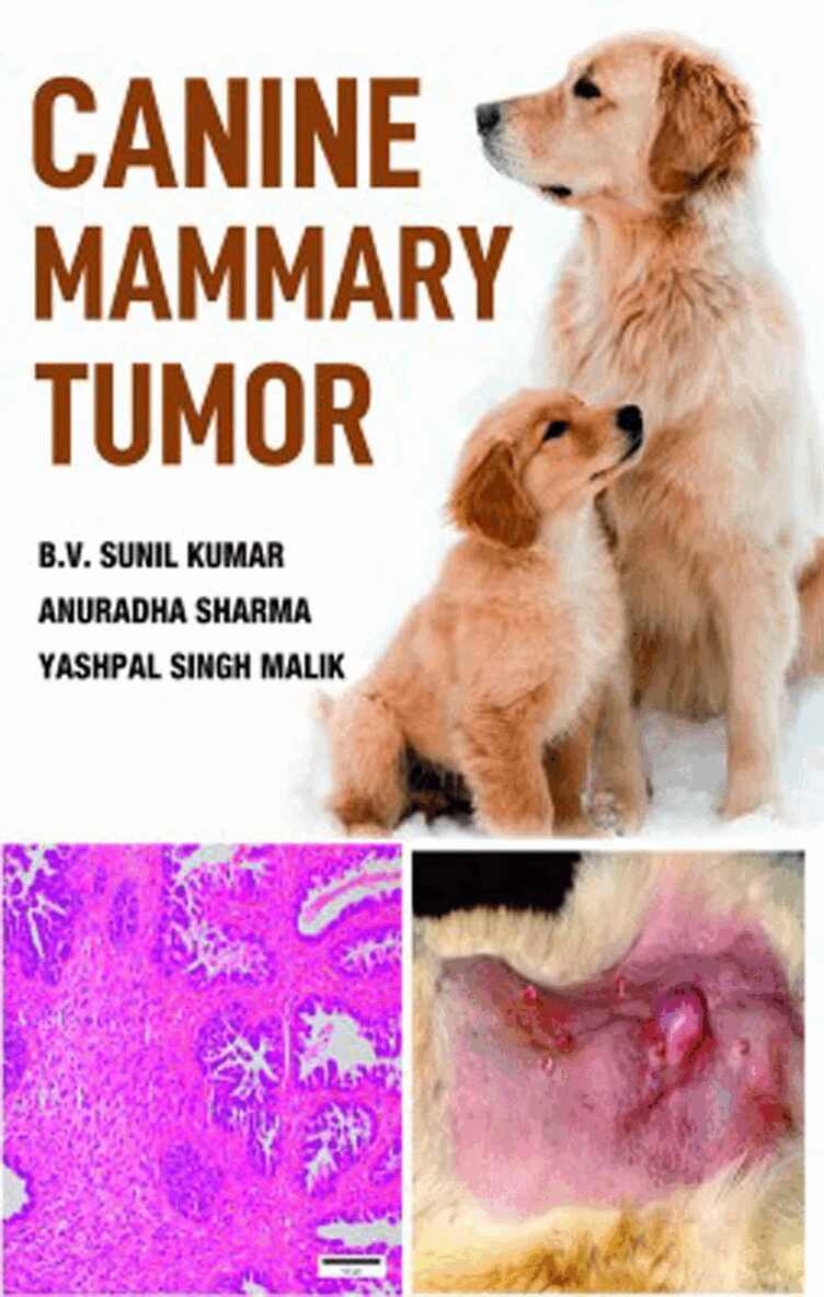 B. V. Sunil Kumar, Anuradha Sharma, Yashpal Singh Malik - Canine Mammary Tumor, Inbunden. Tillgänglighet: Tillfälligt slut