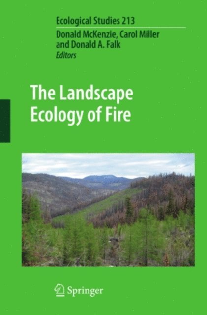 Donald A. Falk, Carol Miller, Donald McKenzie - Landscape Ecology of Fire, E-bok