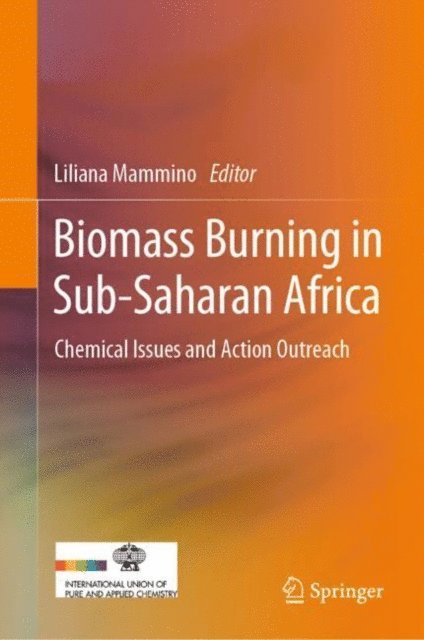 Liliana Mammino - Biomass Burning in Sub-Saharan Africa, E-bok