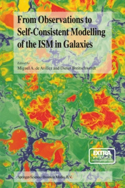 Dieter Breitschwerdt, Miguel A. de Avillez - From Observations to Self-Consistent Modelling of the ISM in Galaxies, E-bok