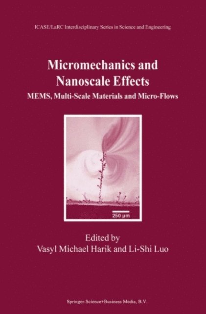 Li-Shi Luo, Vasyl Michael Harik - Micromechanics and Nanoscale Effects, E-bok