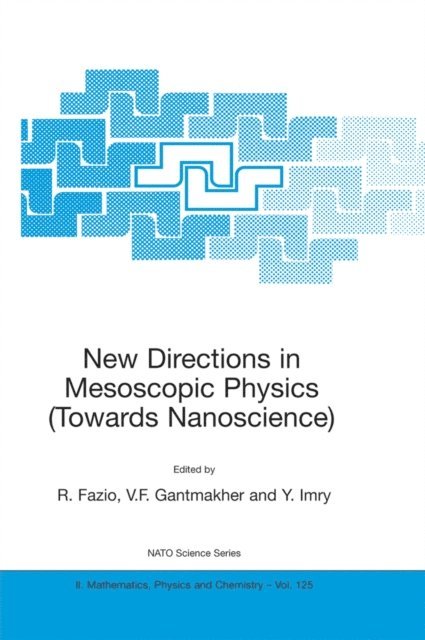 Y. Imry, V.F. Gantmakher, R. Fazio - New Directions in Mesoscopic Physics (Towards Nanoscience), E-bok