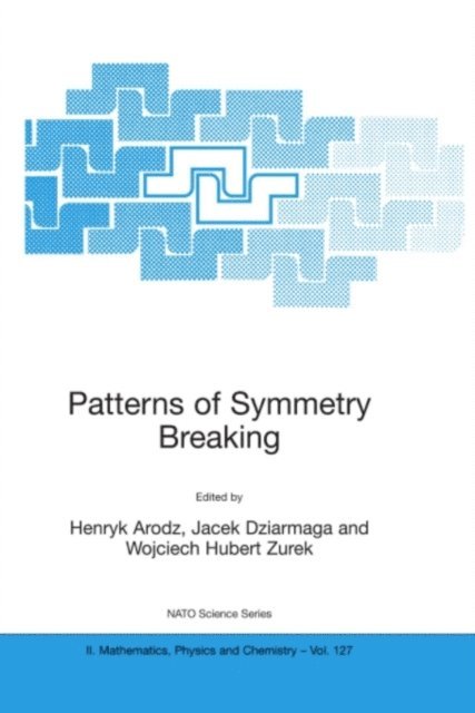 Wojciech Hubert Zurek, Jacek Dziarmaga, Henryk Arodz - Patterns of Symmetry Breaking, E-bok