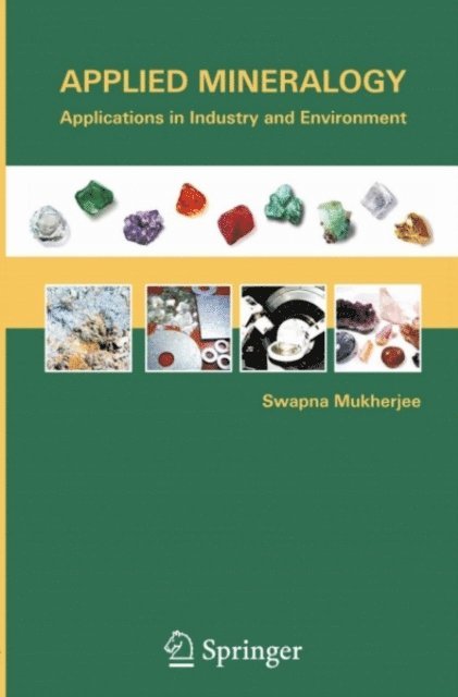 Swapna Mukherjee - Applied Mineralogy, E-bok
