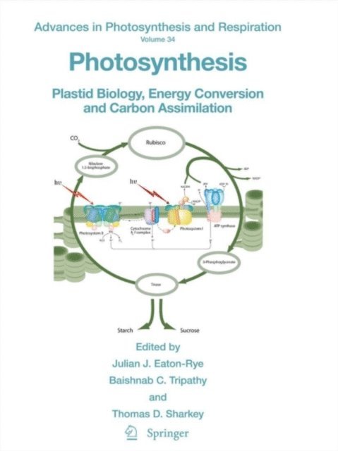 Thomas D. Sharkey, Baishnab C. Tripathy, Julian J. Eaton-Rye - Photosynthesis, E-bok