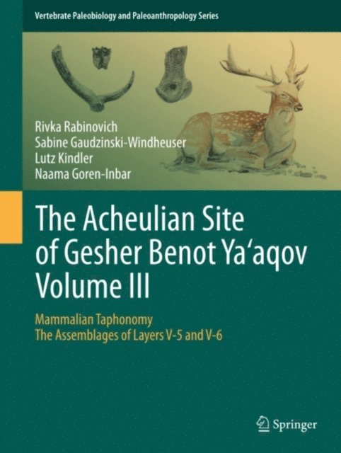Naama Goren-Inbar, Lutz Kindler, Sabine Gaudzinski-Windheuser, Rivka Rabinovich - Acheulian Site of Gesher Benot Ya'aqov Volume III, E-bok