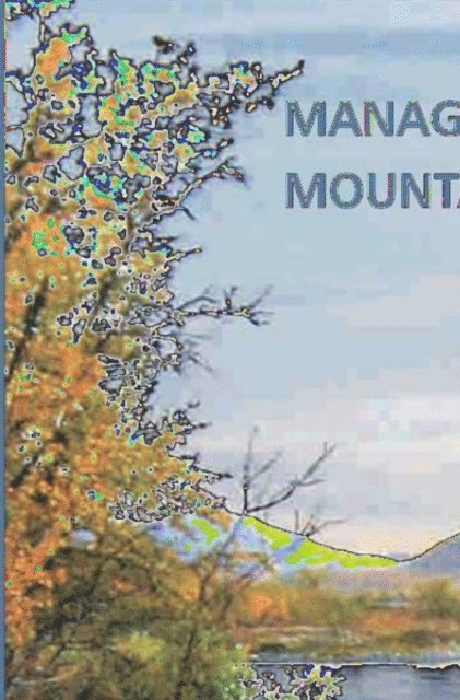 Eero Kubin, Thomas Hofer, Martin Haigh, Josef Krecek - Management of Mountain Watersheds, E-bok