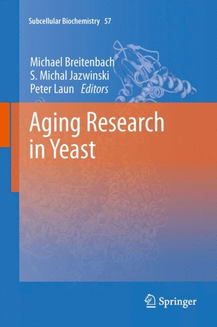 Peter Laun, S. Michal Jazwinski, Michael Breitenbach - Aging Research in Yeast, E-bok