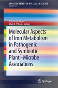 Molecular Aspects of Iron Metabolism in Pathogenic and Symbiotic Plant-Microbe Associations