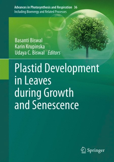 Udaya C. Biswal, Karin Krupinska, Basanti Biswal - Plastid Development in Leaves during Growth and Senescence, E-bok