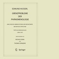 Grenzprobleme der Phnomenologie