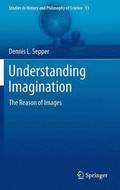 Understanding Imagination
