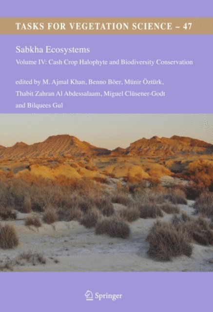 Bilquees Gul, Miguel Clusener-Godt, Thabit Zahran Al Abdessalaam, Munir Ozturk, Benno Boer, M. Ajmal Khan - Sabkha Ecosystems, E-bok