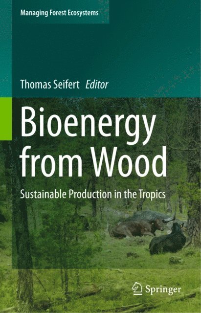 Thomas Seifert - Bioenergy from Wood, E-bok
