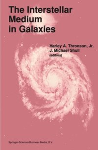 Interstellar Medium in Galaxies