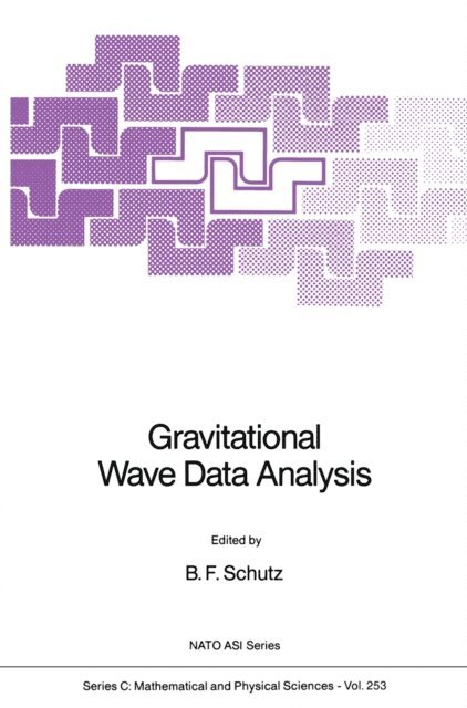 B.F. Schutz - Gravitational Wave Data Analysis, E-bok