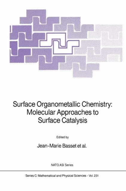 Catherine Santini, Francoise Quignard, Michel Leconte, Agnes Choplin, Jean-Pierre Candy, Bruce C. Gates, Jean-Marie Basset - Surface Organometallic Chemistry: Molecular Approaches to Surface Catalysis, E-bok