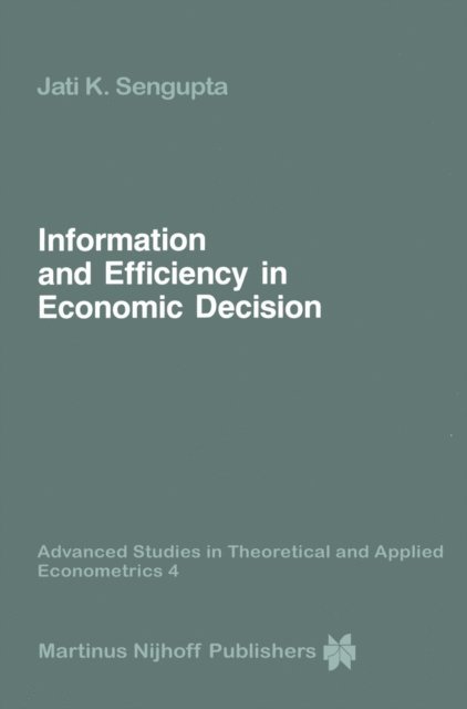 Jati Sengupta - Information and Efficiency in Economic Decision, E-bok