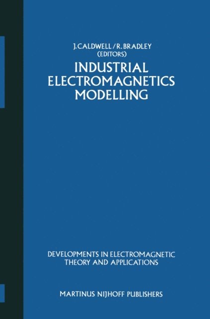 R. Bradley, J. Caldwell - Industrial Electromagnetics Modelling, E-bok