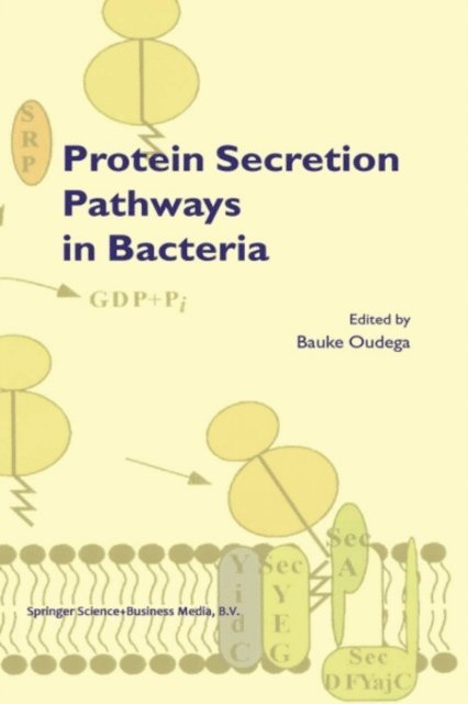 B. Oudega - Protein Secretion Pathways in Bacteria, E-bok
