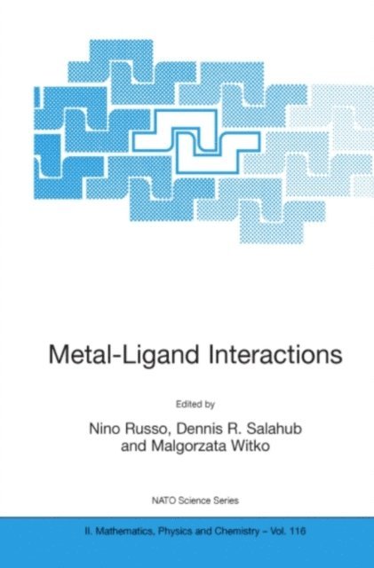 Malgorzata Witko, Dennis R. Salahub, N. Russo - Metal-Ligand Interactions, E-bok