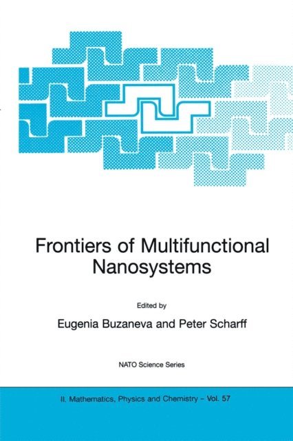 Peter Scharff, Eugenia V. Buzaneva - Frontiers of Multifunctional Nanosystems, E-bok