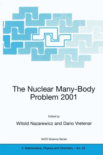 Dario Vretenar, Witold Nazarewicz - Nuclear Many-Body Problem 2001, E-bok