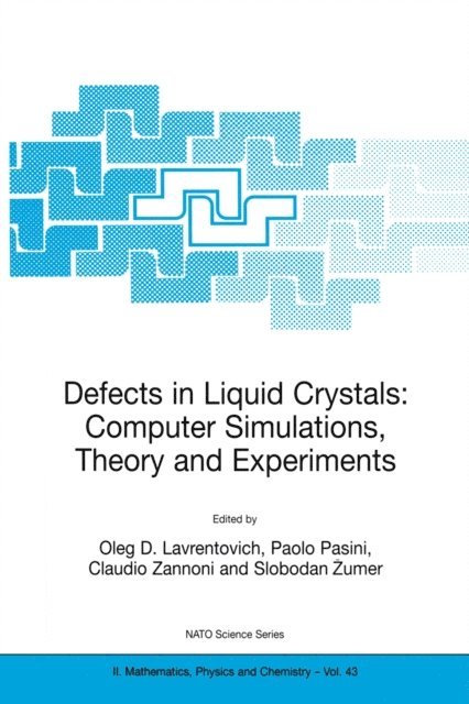 Slobodan Zumer, Claudio Zannoni, Paolo Pasini, Oleg D. Lavrentovich - Defects in Liquid Crystals: Computer Simulations, Theory and Experiments, E-bok