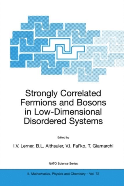 Thierry Giamarchi, Vladimir I. Fal'ko, Boris L. Althsuler, Igor V. Lerner - Strongly Correlated Fermions and Bosons in Low-Dimensional Disordered Systems, E-bok