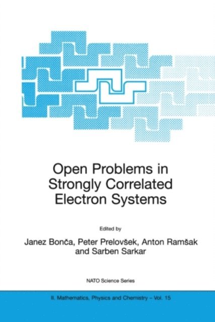 Sarben Sarkar, Anton Ramsak, Peter Prelovsek, Janez Bonca - Open Problems in Strongly Correlated Electron Systems, E-bok