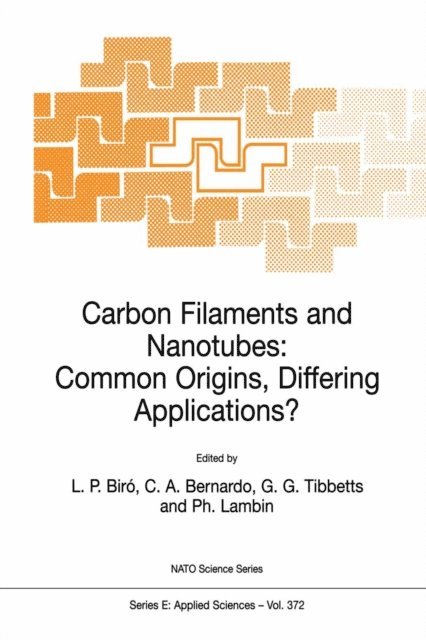 Ph. Lambin, G.G. Tibbetts, Carlos A. Bernardo, L.P. Biro - Carbon Filaments and Nanotubes: Common Origins, Differing Applications?, E-bok