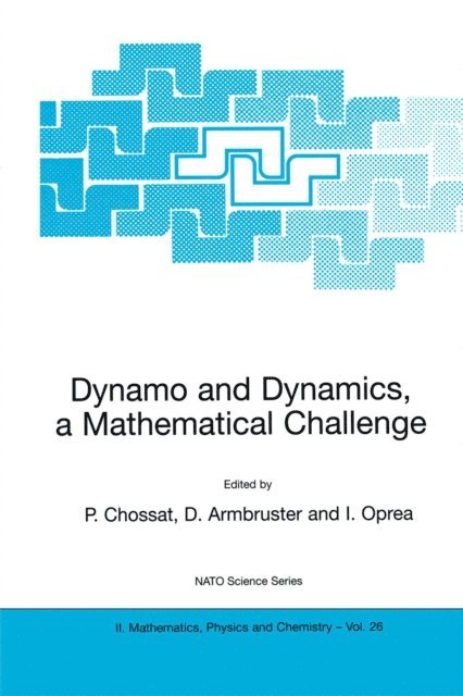 Iuliana Oprea, Dieter Armbruster, Pascal Chossat - Dynamo and Dynamics, a Mathematical Challenge, E-bok