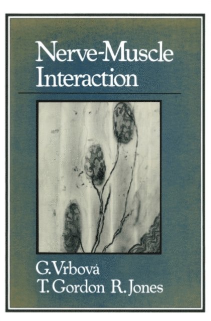 Gerta Vrbova - Nerve-Muscle Interaction, E-bok