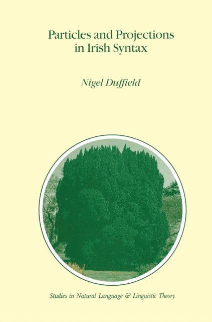 N. Duffield - Particles and Projections in Irish Syntax, E-bok