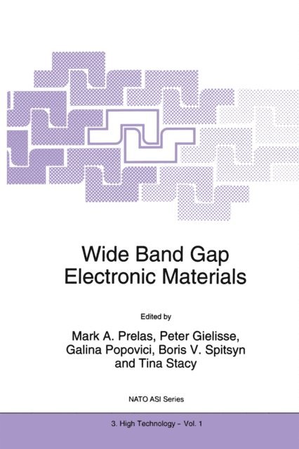 Tina Stacy, Boris V. Spitsyn, Galina Popovici, Peter Gielisse, Mark A. Prelas - Wide Band Gap Electronic Materials, E-bok