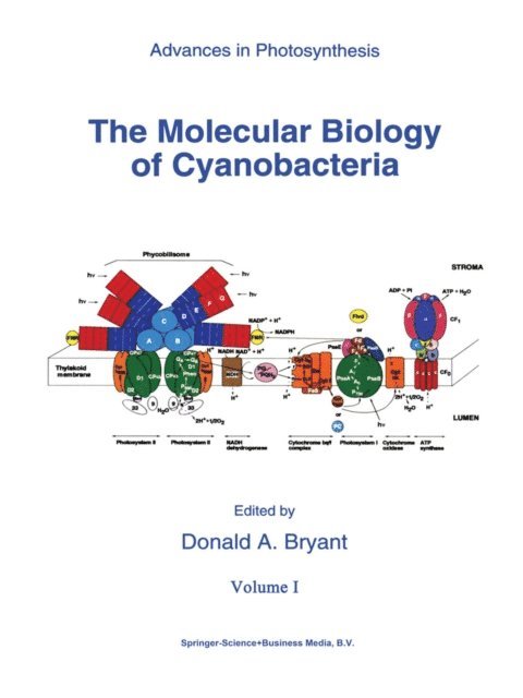 D.A. Bryant - Molecular Biology of Cyanobacteria, E-bok