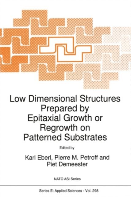 Piet Demeester, Pierre M. Petroff, K. Eberl - Low Dimensional Structures Prepared by Epitaxial Growth or Regrowth on Patterned Substrates, E-bok