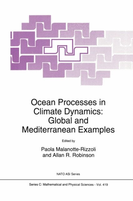 Allan R. Robinson, P.M. Malanotte-Rizzoli - Ocean Processes in Climate Dynamics, E-bok